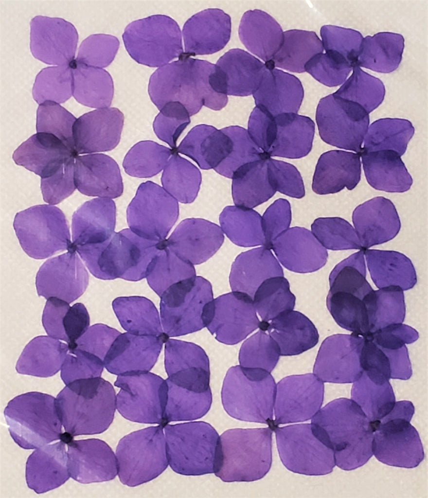 Hydrangea Purple Dyed