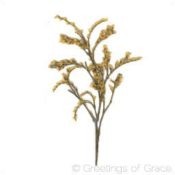 Goldenrod leaf